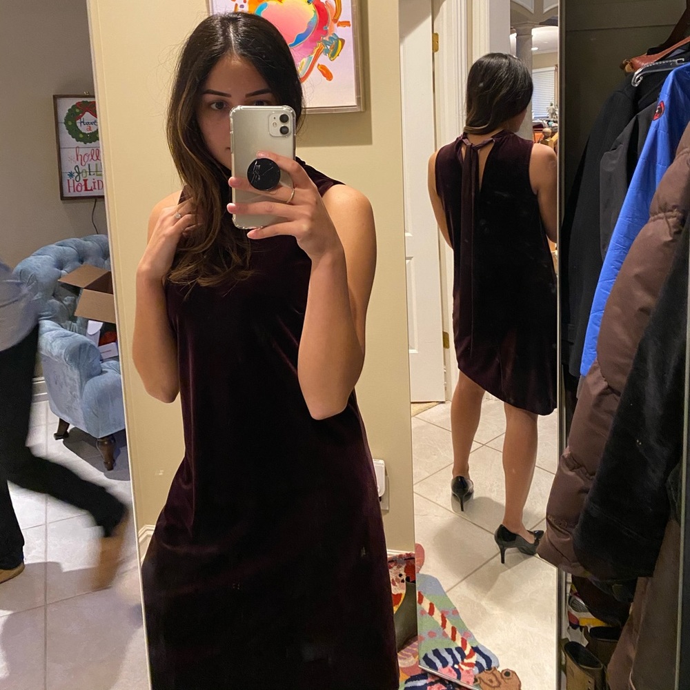 Plum Velvet Dress - Picture 10 of 12